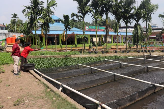 Lapas Jambi Kembangkan Pembibitan Ikan Lele, Dorong Kemandirian Warga Binaan