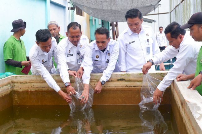 Dorong Produktivitas, Lapas Narkotika Pangkalpinang Tebar 500 Ekor Benih Ikan Gurame 