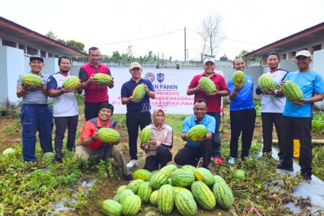Lapas Pangkalpinang Ajak Forkopimcam Wujudkan Ketahanan Pangan Lewat Panen 525 Kg Semangka