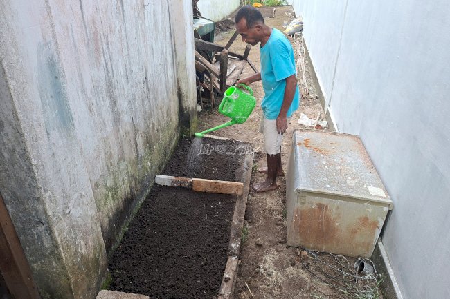 Lapas Saparua Konsisten Semai Bibit Sayuran Dukung Ketahanan Pangan