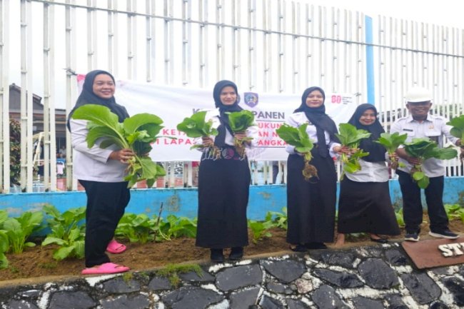 Lapas Pangkalpinang Manfaatkan Lahan Sempit, Hasilkan 27 Kg Sawi Caisim