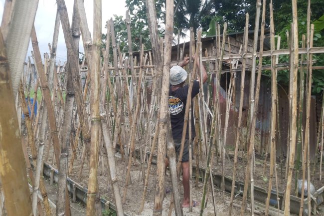 Budidaya Kacang Panjang, Lapas Ambon Perkuat Pembinaan Kemandirian
