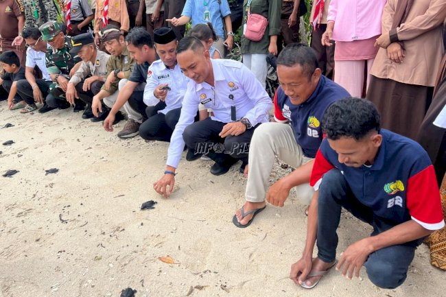Dukung Konservasi Laut, Lapas Wahai Ikut Pelepasan Tukik Penyu Lekang