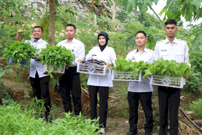 Panen Sayuran Rutan Sanggau, Bukti Nyata Pembinaan Produktif