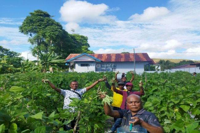 Cinta Produk Warga Binaan, 50 Kg Buncis Habis Dibeli Petugas Lapas Namlea