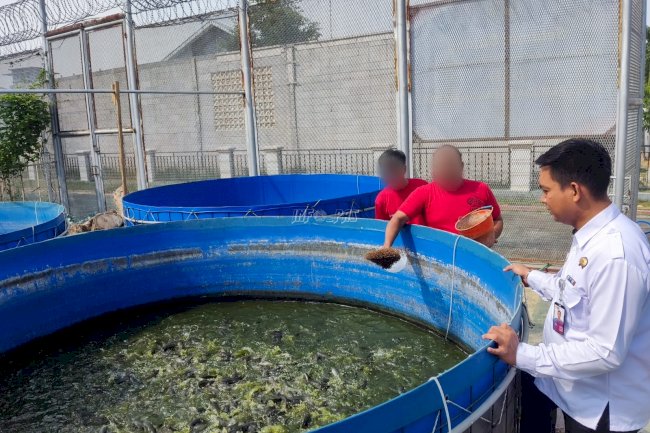 Dukung Kemandirian, Lapas Pemuda Madiun Kembangkan Budidaya Lele Bioflok