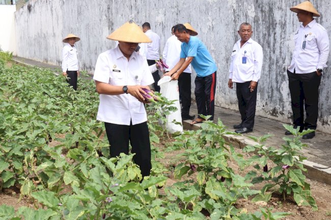 Lapas Wonogiri Panen Terong, Wujud Warga Binaan Produktif dan Mandiri