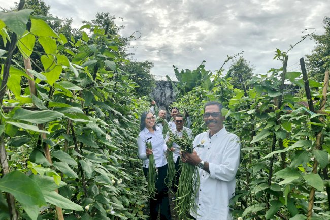 Semakin Produktif, Lapas Bandanaira Panen Kacang Panjang dan Kangkung di Lahan SAE