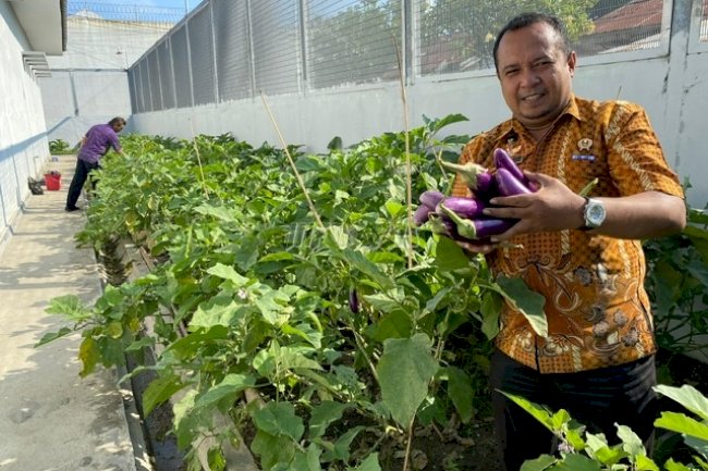 Wujudkan Ketahanan Pangan, LPKA Palu Sukses Panen Terong Ungu