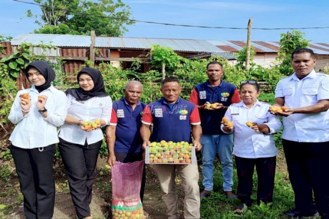 Dari Tangan Warga Binaan Lapas Wahai, Tomat Segar Penuhi Kebutuhan Pangan Masyarakat