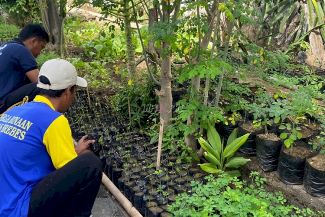 Lapas Brebes Latih Kemandirian Warga Binaan lewat Kegiatan Pertanian