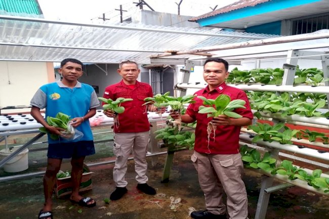 Hasilkan Panen Berkelanjutan, Rutan Ambon Terus Konsisten Dukung Ketahanan Pangan