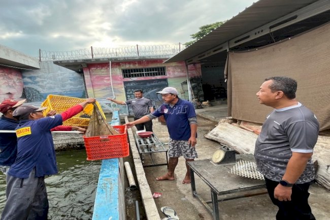 Lapas Pemuda Madiun Panen 40 Kg Ikan Lele, Berdayakan Warga Binaan dalam Program Ketahanan Pangan