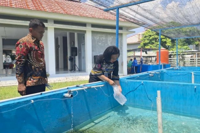 Lapas Perempuan Palu Kembangkan Budidaya Ikan Nila, 1.200 Benih Ditebar