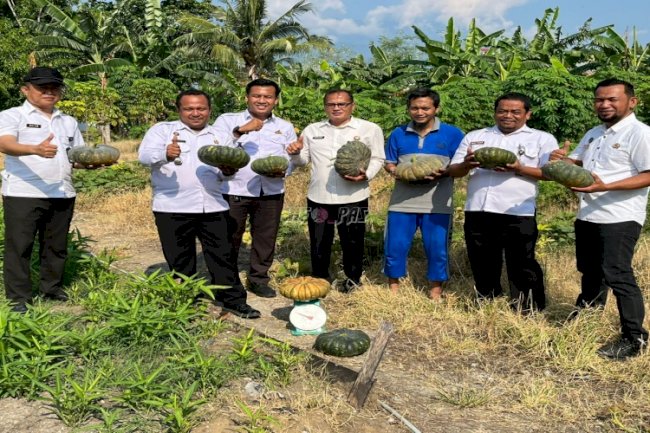 Lapas Palu Panen 35 Kg Kangkung dan Labu, Bukti Nyata Dukung Ketahanan Pangan Nasional