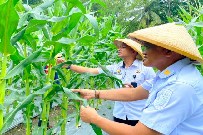 Semangat Hari Tani, Momentum Lapas Wahai Dukung Ketahanan Pangan Nasional