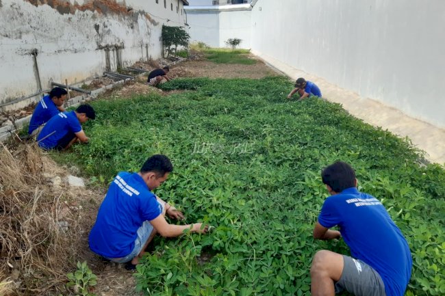 Produktif di Balik Jeruji, Warga Binaan Rutan Sampang Giatkan Ketahanan Pangan