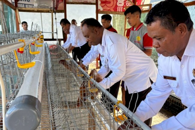 Warga Binaan Lapas Atambua Tancap Gas Jadi Juragan Telur