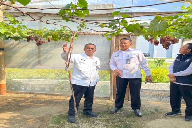 Lapas Muara Bulian dan Tim Efektif Kerabat Pangan Lakukan Studi Tiru Ketahanan Pangan ke Nusakambangan