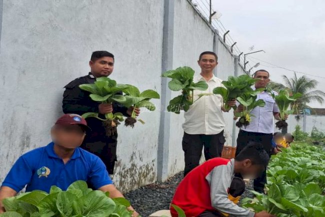 Rutan Marabahan Panen 100 Ikat Sawi Segar