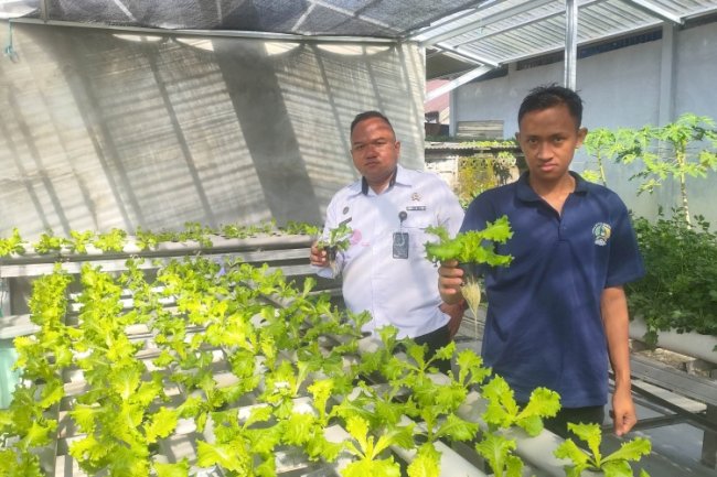 840 Lubang Hidroponik, Langkah Nyata Lapas Banjarmasin Wujudkan Lapas Produktif