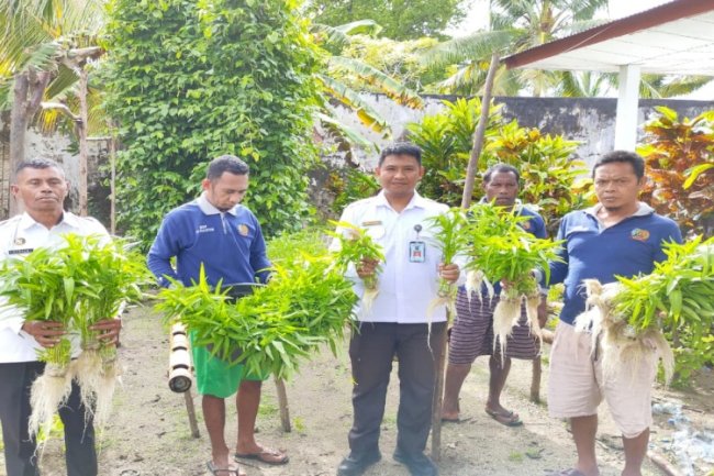 Lapas Geser Panen Kangkung Hasil Modifikasi Instalasi Bambu dengan Metode Hidroponik