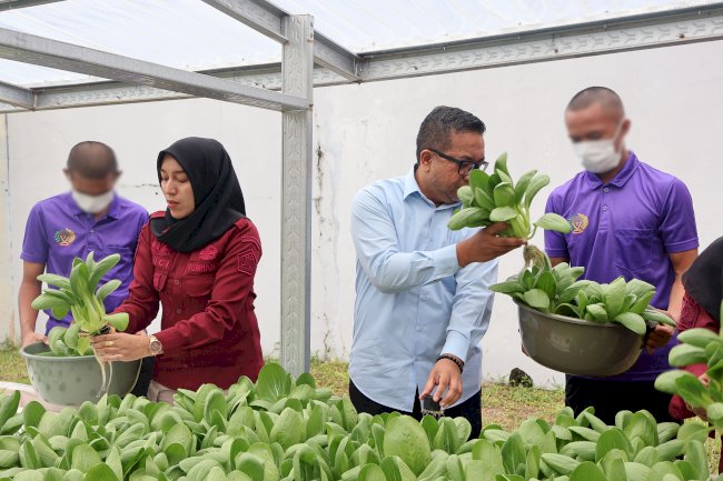 Dukung Swasembada Pangan, LPKA Ambon Panen Pakcoy Hidroponik