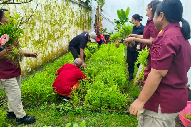 Panen Kangkung Warnai Semangat Ketahanan Pangan di Lapas Saparua