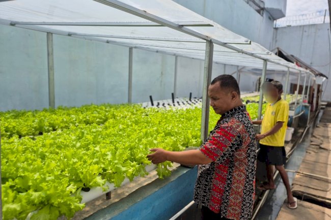 Menuju Panen Ke-11, Rutan Palu Buktikan Keberhasilan Program Hidroponik