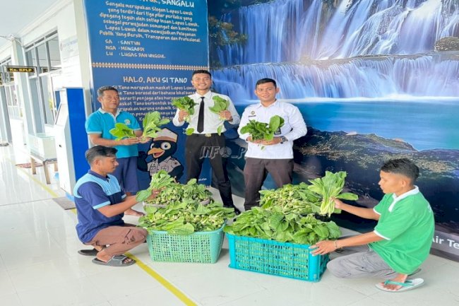 Lapas Luwuk Panen Ratusan Kilo Sawi, Dukung Ketahanan Pangan