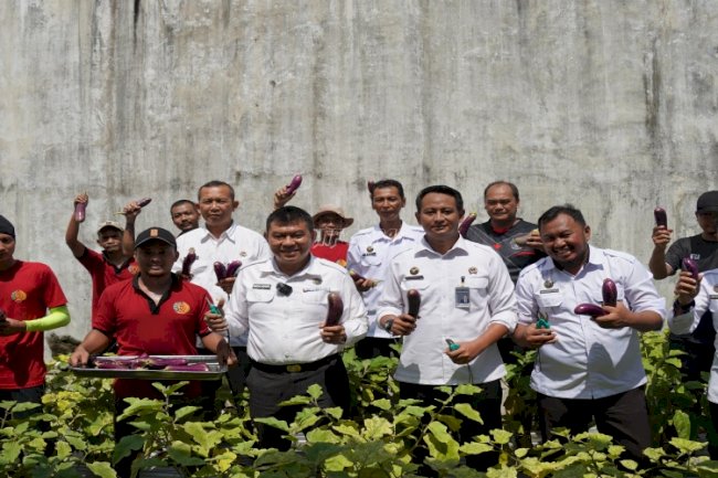 Dukung Ketahanan Pangan, Lapas Besi Panen Terong Hasil Pembinaan Warga Binaan