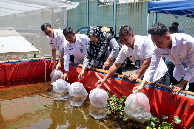Wujudkan Warga Binaan Produktif, Lapas Cibinong Tebar 10.000 Benih Lele