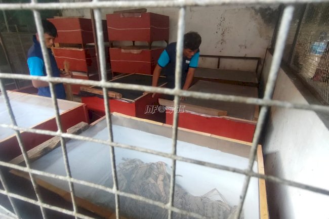 Lapas Klaten Siapkan Warga Binaan Berdaya lewat Pelatihan Budidaya Jangkrik