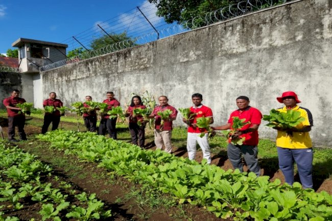 Panen 11 Kg Sawi, Lapas Tual Cetak Warga Binaan Mandiri 