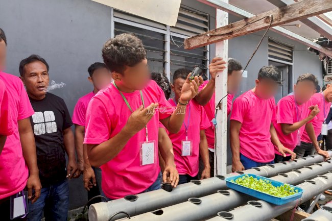 Lapas Bandanaira Latih Warga Binaan Hidroponik, Bekal Keterampilan Pertanian Modern