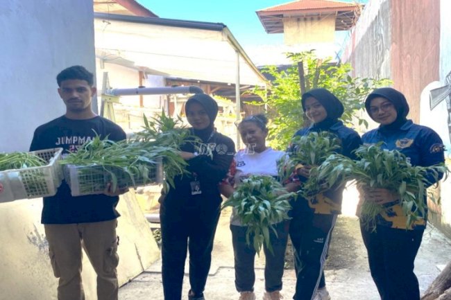 Panen Sayuran Segar dari Tangan Warga Binaan Hijaukan Dapur Lapas Wahai