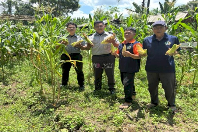 Dukung Ketahanan Pangan dan UMKM, SAE Lapas Tabanan Terus Tumbuh Produktif