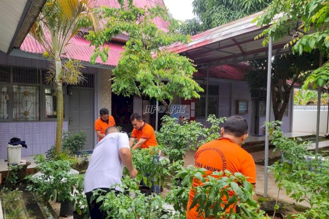 Budidaya Lombok di Lahan Sempit, Bapas Amuntai Tanamkan Nilai Kemandirian Klien