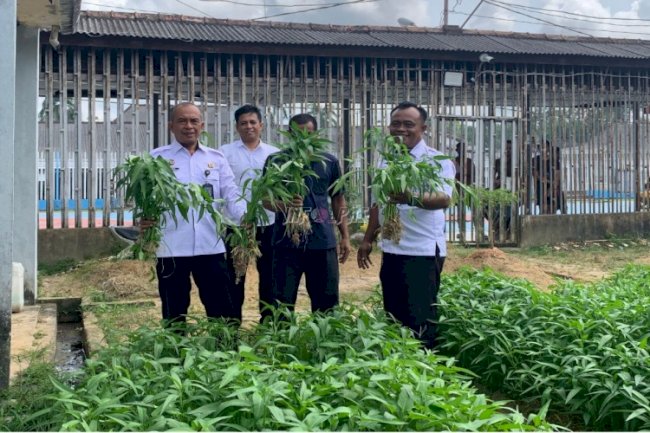  Lapas Pangkalpinang Buktikan Pembinaan Produktif lewat Panen 29 Kg Kangkung