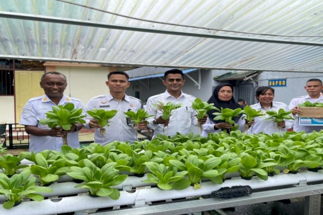 Program Ketahanan Pangan Berkelanjutan, Rutan Ambon Kembali Panen Pakcoy