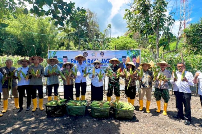 Bukti Sukses Ketahanan Pangan, Panen Raya Jagung di Lapas Wahai Capai 1.2 Ton