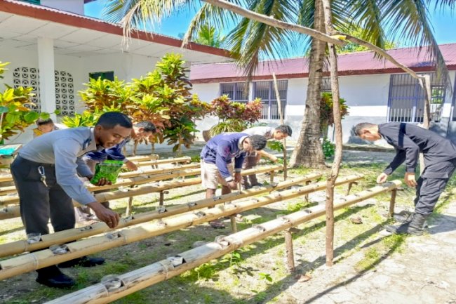 Warga Binaan Lapas Geser Kembangkan Budidaya Kangkung Cabut dengan Metode Hidroponik Modifikasi