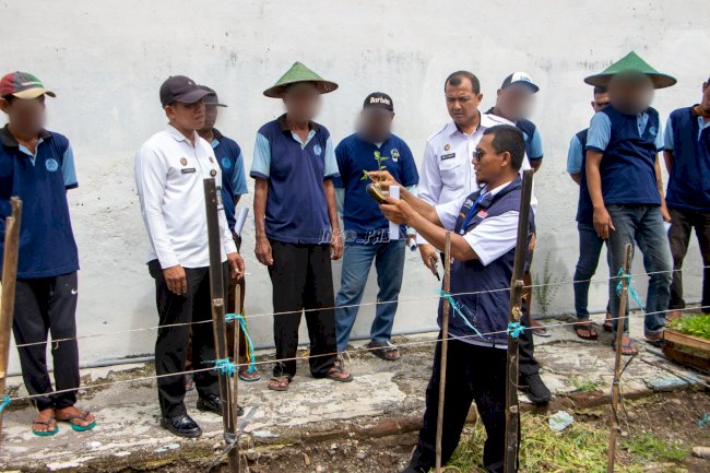 Pelatihan Budidaya Cabai di Lapas Madiun Dorong Semangat Kemandirian