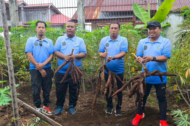 Panen Singkong di Lapas Ternate, Warga Binaan Wujudkan Kemandirian