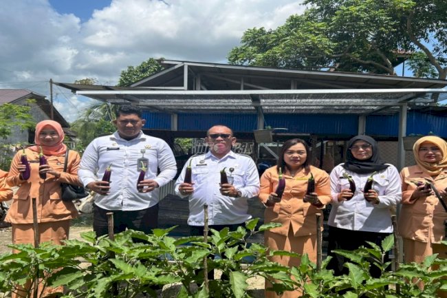 Walau Lahan Terbatas, Rutan Rantau Sukses Panen Sawi dan Terong 