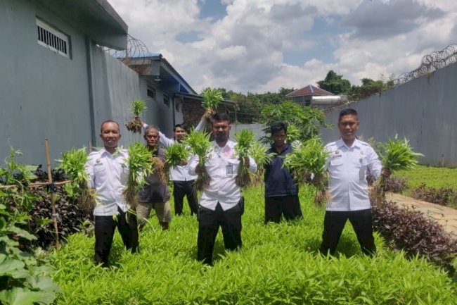 Panen Kangkung di Lapas Narkotika Karang Intan, Dukung Program Ketahanan Pangan