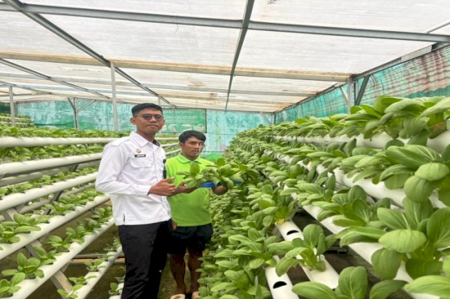 Lapas Kolonodale Wujudkan Produksi Pangan Berkelanjutan lewat Budidaya Hidroponik