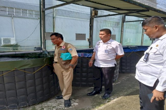 Dari Kolam Menuju Harapan, Warga Binaan Lapas Cipinang Buktikan Diri lewat Program Ketahanan Pangan