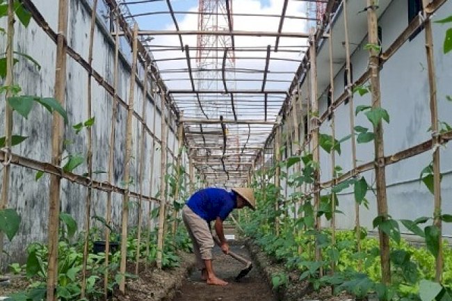 Rutan Kebumen Kelola Lahan Branggang Jadi Area Ketahanan Pangan