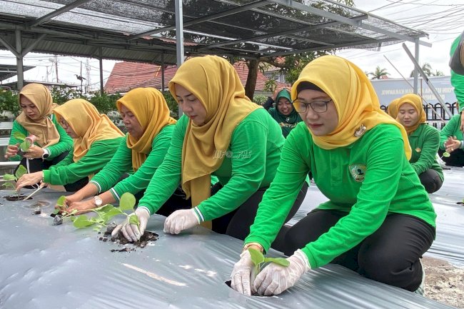 Pipas Lapas Banjarmasin Tanam Bibit Terong di Area Ketahanan Pangan